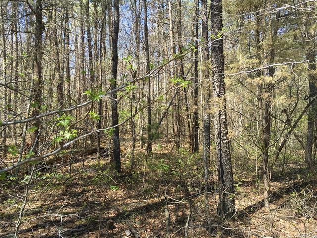 0 Holly Grove Ct. - Photo 1