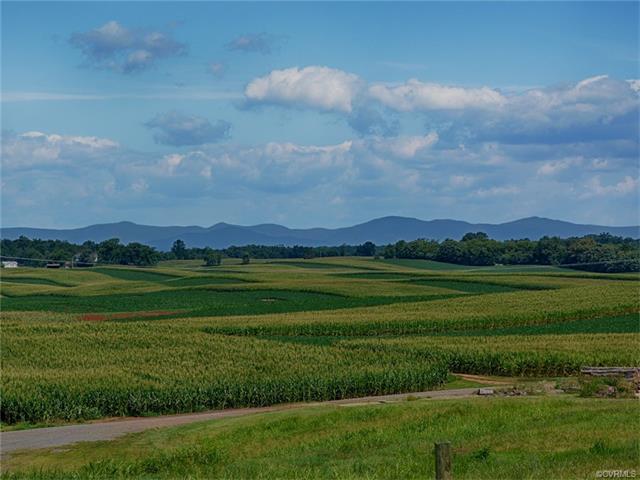 227 Blue Ridge Turnpike - Photo 1