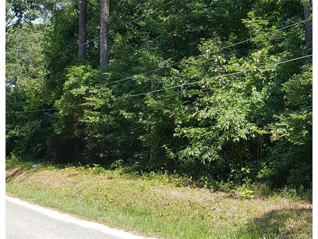 00 Wolverine Road - Photo 1