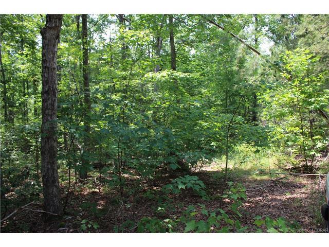 0 Mill Creek - Photo 1