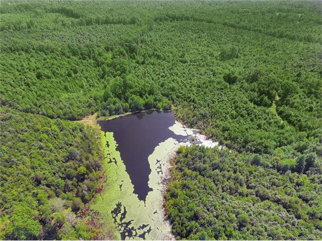 0 Hadensville Fife Road - Photo 1