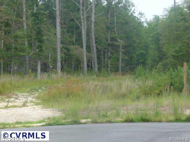 16601 Hull Street Road - Photo 1