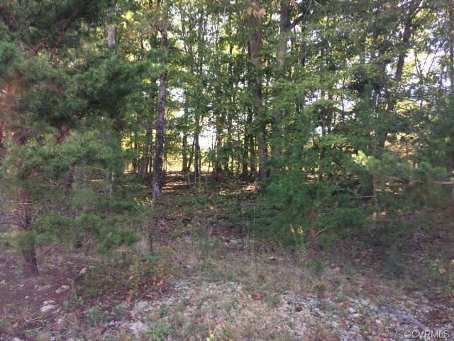 000 Old Ridge Rd - Photo 1