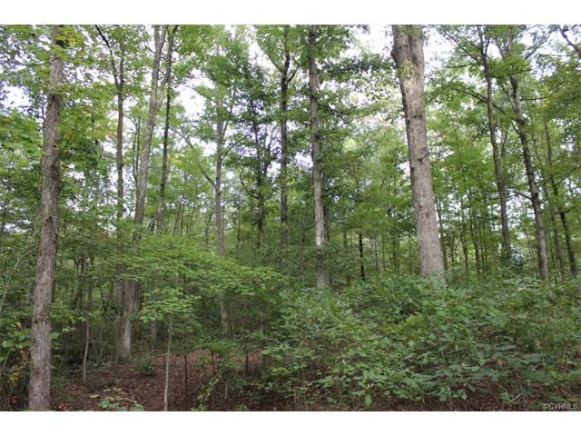 556 Church Hill Road - Photo 1