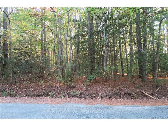00 Dunham Massie Lane - Photo 1