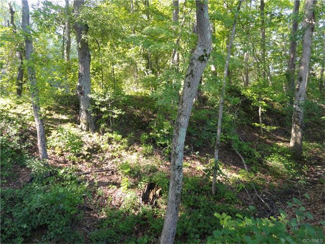 Lot 4 Fort Dushane Road - Photo 1