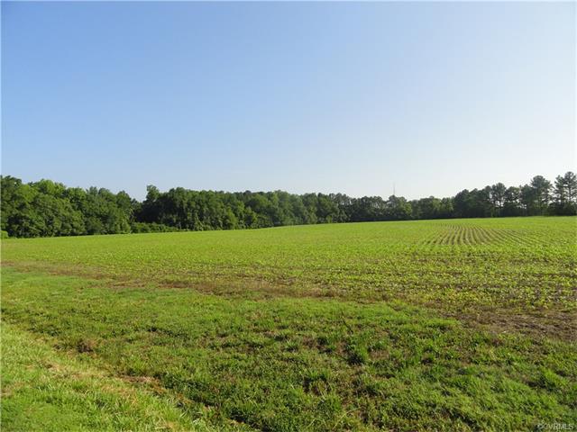 Lot 1 Fort Dushane Road - Photo 1