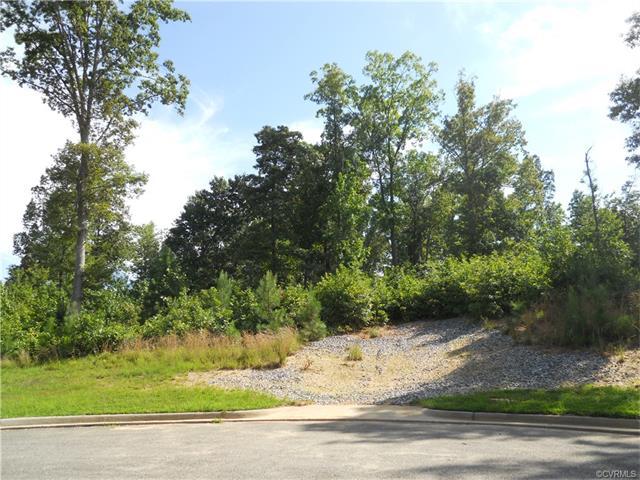 20012 Chesdin Harbor Drive - Photo 1