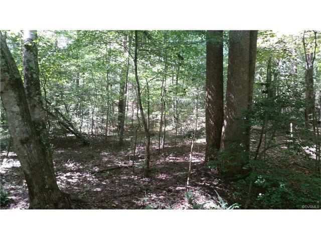 2.59 Acres Bent Creek Road - Photo 1