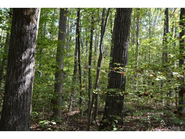 Tract 6 Falkland Rd - Photo 1