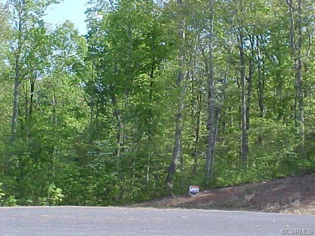 0 Lake Pointe Court - Photo 1