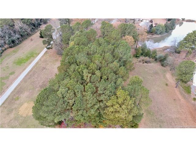 00 Pine Tree Drive - Photo 1