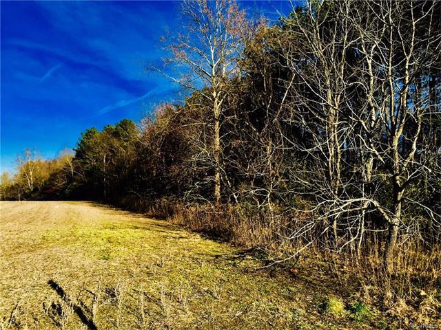 0 Mary Ball Road - Photo 1