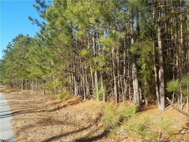 TBD Blue Heron Drive - Photo 1