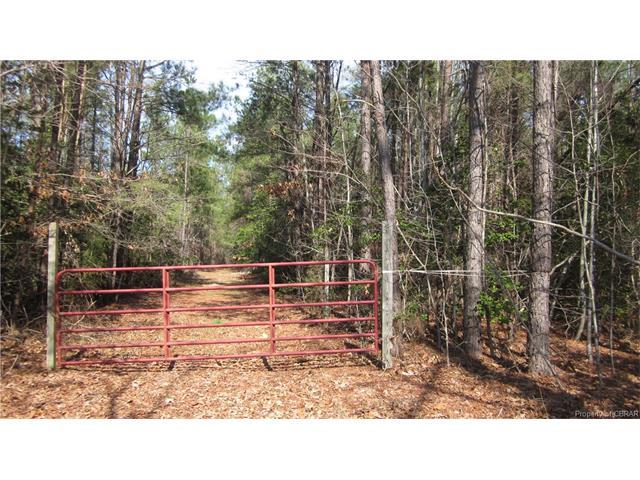 0 Western Branch Road - Photo 1