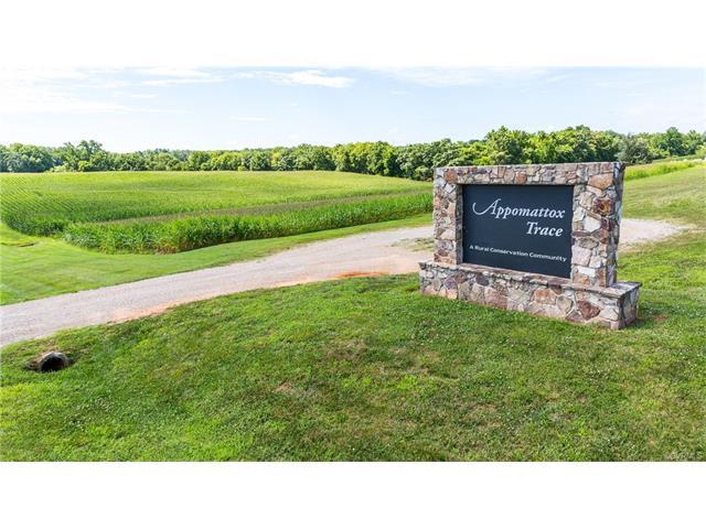 751 Appomattox Trace Road - Photo 1