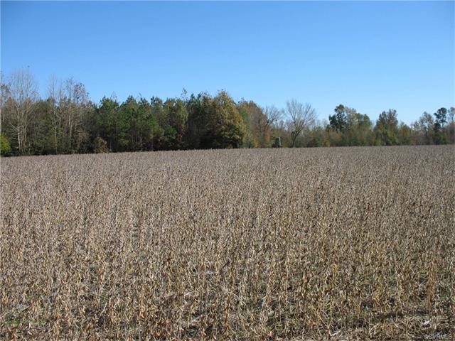 1701 General Mahone Highway - Photo 1
