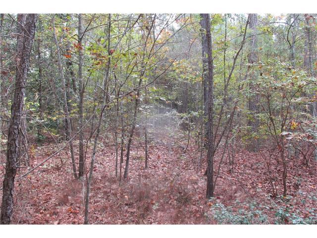 27950 Troublefield Lane - Photo 1