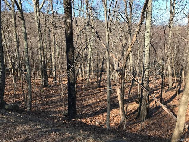 107 Den Tree Lane - Photo 1
