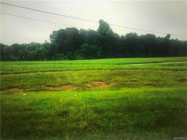 Lot 3 Irby Spring Road - Photo 1