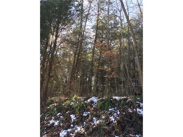 0 Sugar Fork Road - Photo 1