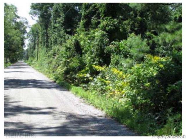 1.45 Acres Ernest Lane - Photo 1