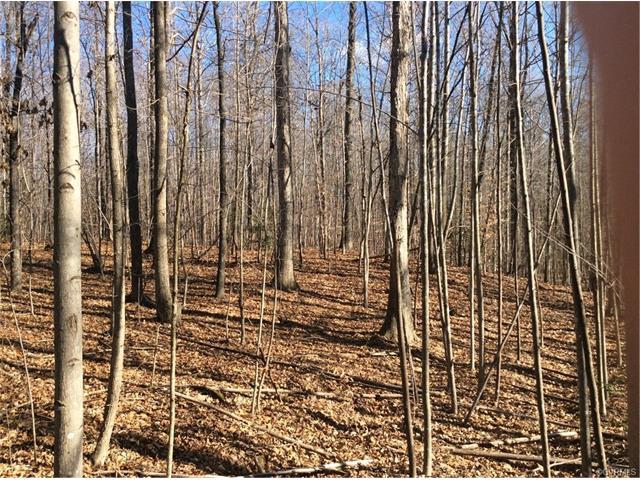 D3 Creek Rd. - Photo 1