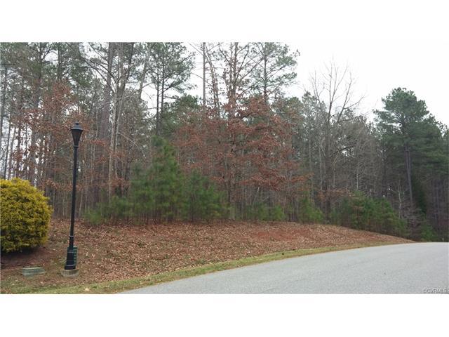 12401 Chesdin Landing Drive - Photo 1