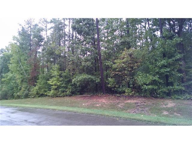 15242 Isle Pines Drive - Photo 1
