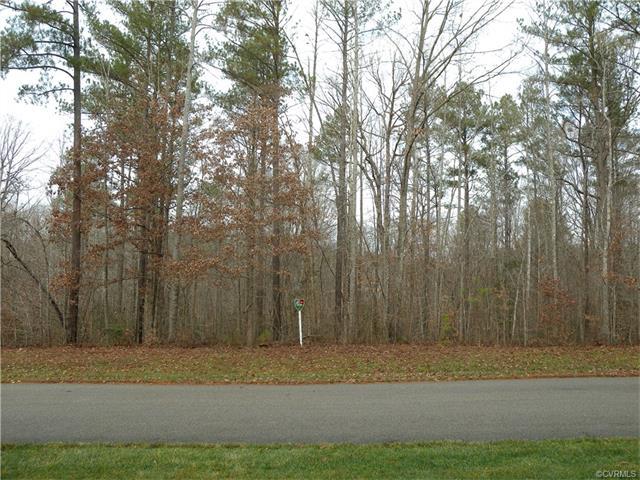 13524 River Otter Court - Photo 1