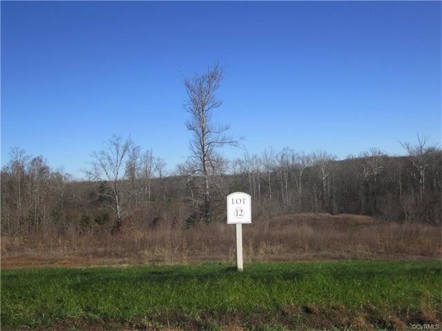 Lot 12 Anderson Mill Drive - Photo 1