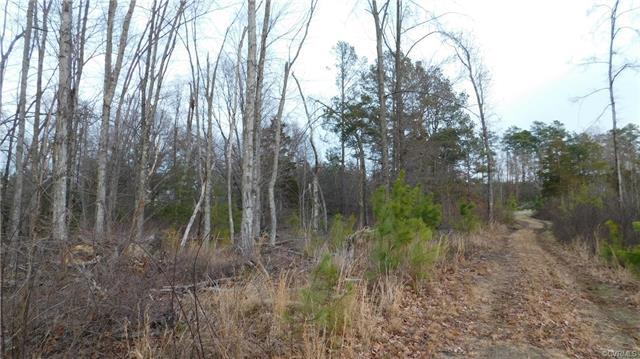 0 Breezywood Lane - Photo 1