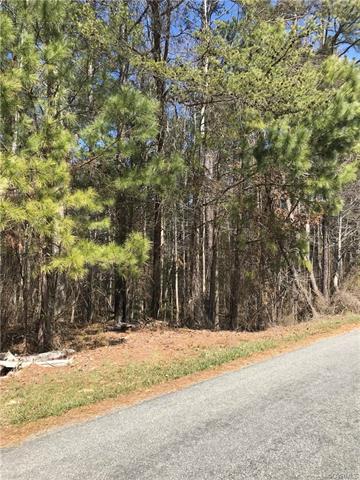0 Pinehurst Forest Drive - Photo 1
