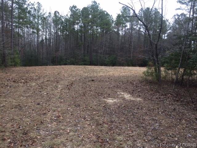 63 Skipjack Lane - Photo 1
