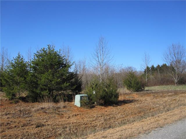 1 Mill Branch Way - Photo 1