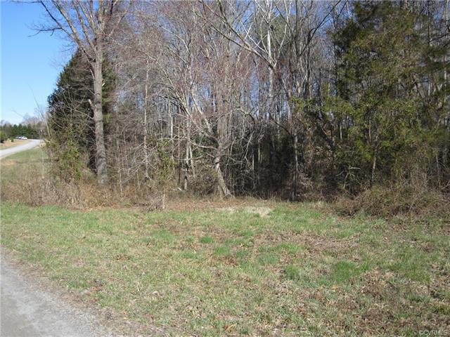 3 Mill Branch Way - Photo 1