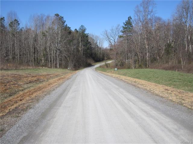 14 Mill Branch Way - Photo 1