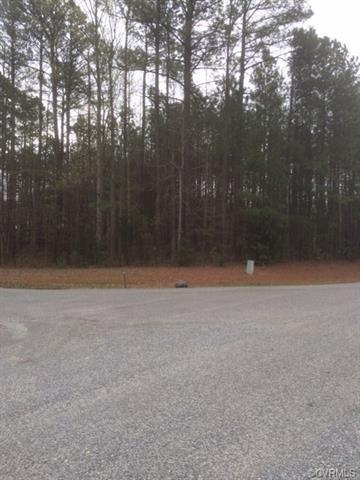 3401 Rockland Creek Road - Photo 1