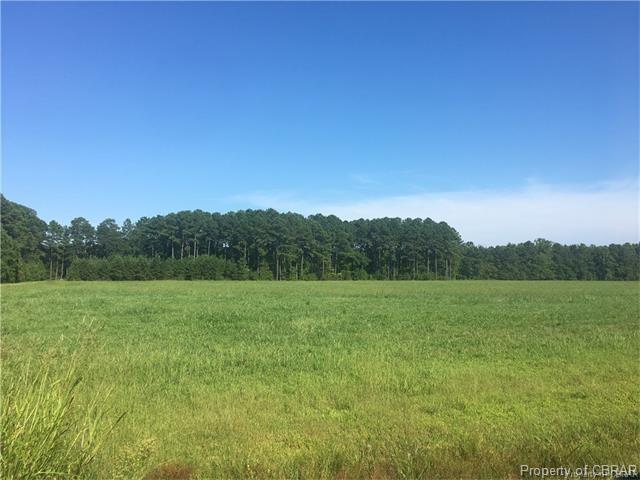 0 Peach Point - Photo 1