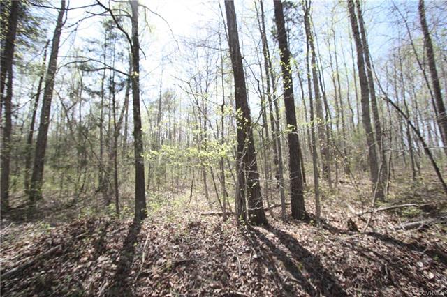 Lot 6 Youngstown Road - Photo 1