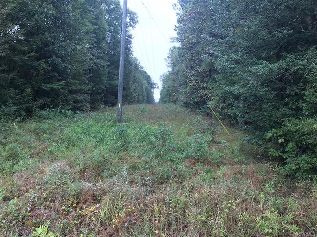 0 Colonial Trail - Photo 1