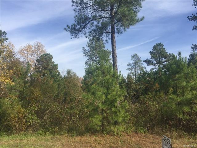 Lot 14 Tillar Lane - Photo 1