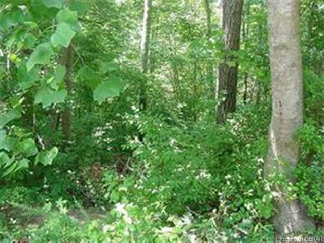 00 Stream And Marlfield Rd Drive - Photo 1