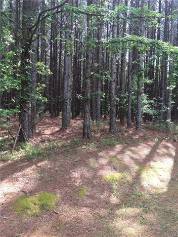 Lot 43 White Oak - Photo 1
