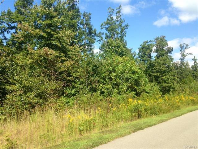 5.58 AC, LOT 21, Pembelton Drive - Photo 1