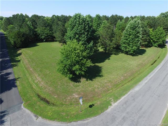 0 Whiting Creek Drive - Photo 1