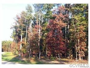 13419 River Otter Road - Photo 1
