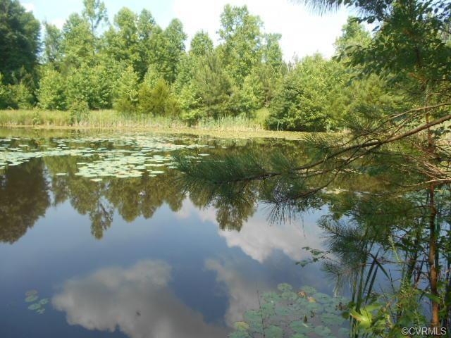 0 Terry Lane - Photo 1