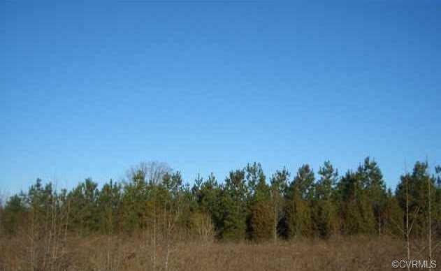50 ACRES, Patrick Henry Highway - Photo 1