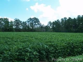0 New Hope Road - Photo 1